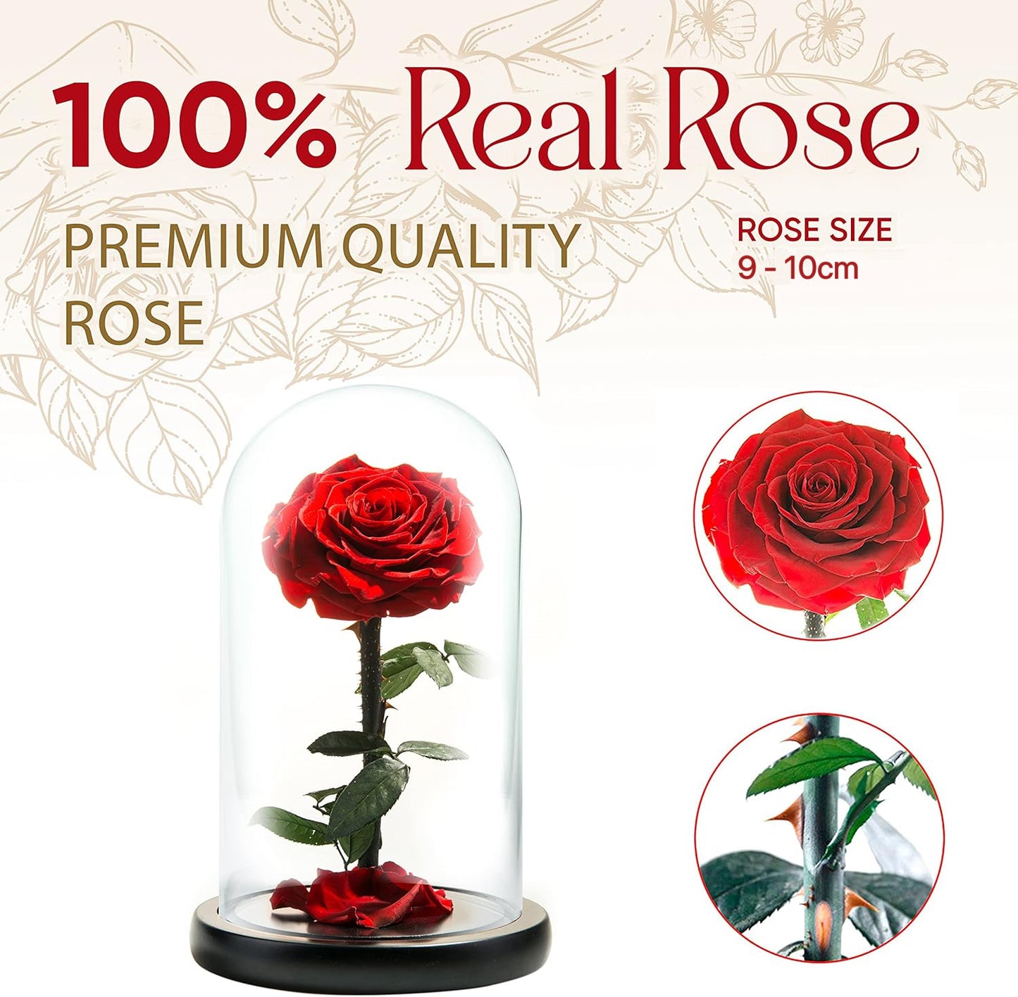 Preserved Real Rose in Glass Dome – Eternal Rose Gift for Her, Mom, Wife – Perfect for Special Occasions