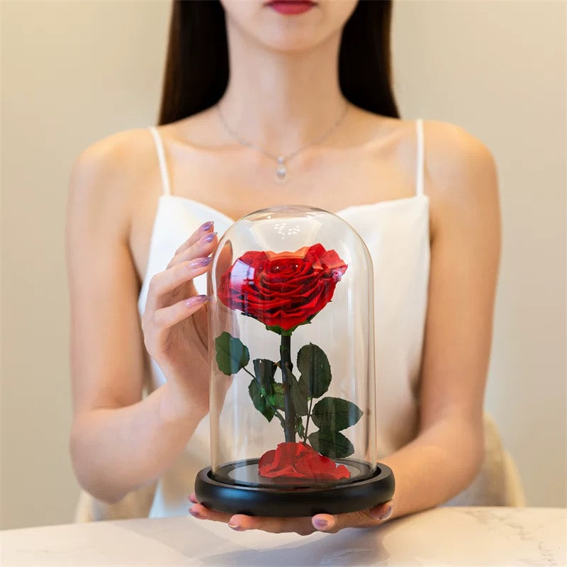 Preserved Real Rose in Glass Dome – Eternal Rose Gift for Her, Mom, Wife – Perfect for Special Occasions
