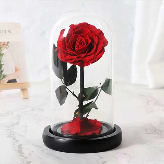 Preserved Real Rose in Glass Dome – Eternal Rose Gift for Her, Mom, Wife – Perfect for Special Occasions