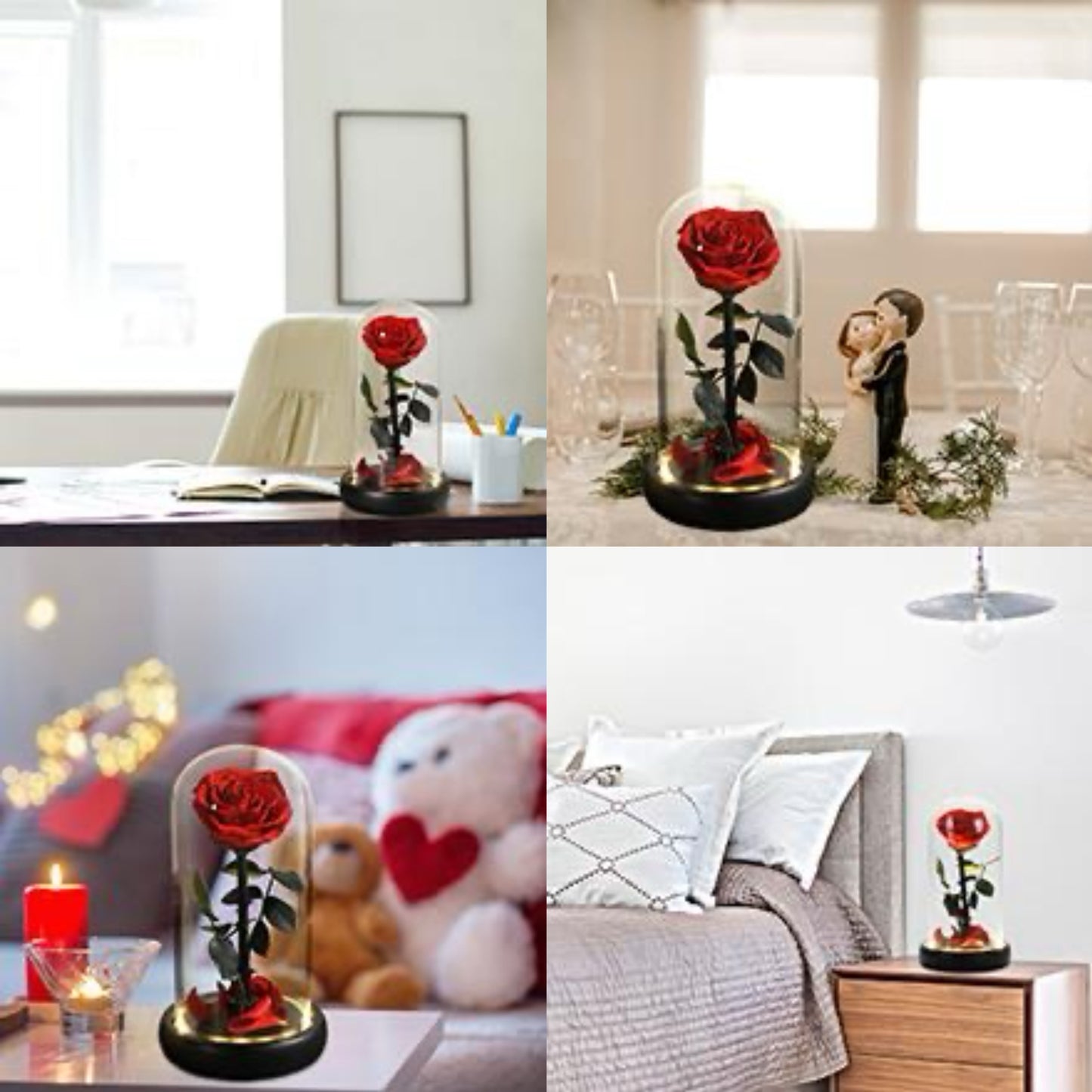 Preserved Real Rose in Glass Dome – Eternal Rose Gift for Her, Mom, Wife – Perfect for Special Occasions