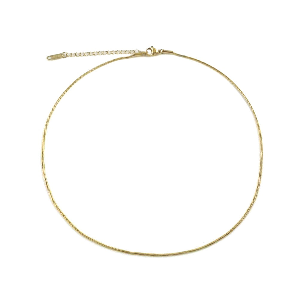Snake Chain Necklace